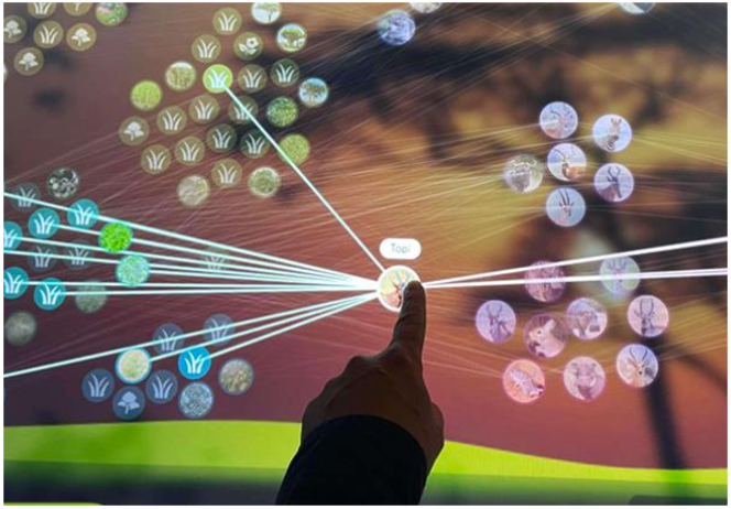 ECOWEB – Advanced Visualization of Ecosystems