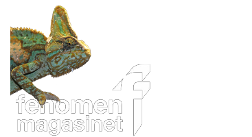 fenomenmagasinet
